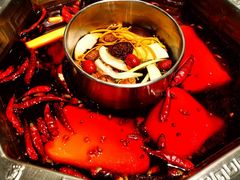 -蜀九香火锅(九眼桥店)