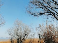 -上海吴淞炮台湾国家湿地公园