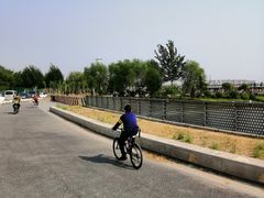 -丁香湖公园