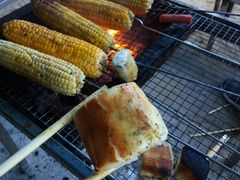 -西涌国际滨海旅游区