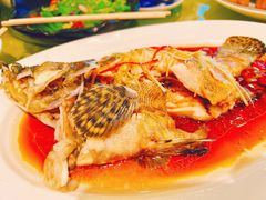 -鹏天阁酒楼·海鲜(红旗店)