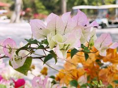 -三亚南山文化旅游区