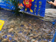 -79号渔船海鲜饭店(华强北店)