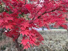 -苏州河梦清园环保主题公园