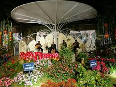 表演区-河内西湖莲花自助餐厅