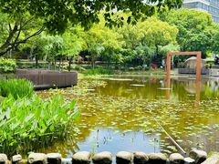 -陈家山荷花公园
