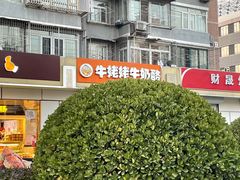 -牛姥姥牛奶酪