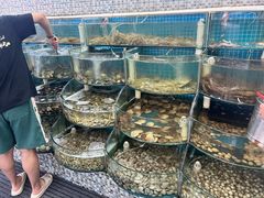 -仙螺岛海鲜自助餐厅(总店)