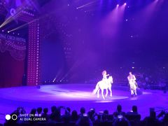 -珠海横琴长隆《卡卡虎奇遇记》