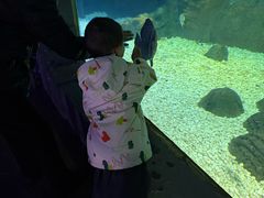 -大连圣亚海洋世界
