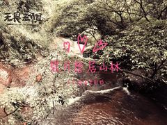 -赤水丹霞旅游区·佛光岩
