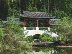 -广州神农草堂中医药博物馆