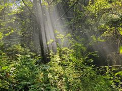 -秦岭终南山世界地质公园翠华山景区