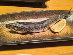 -将军日本餐厅·Shogun(厦门马哥孛罗东方大酒店)