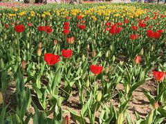 -祥源·阜阳生态乐园