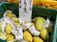 -油麻地果栏