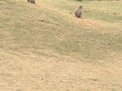 -海南热带野生动植物园
