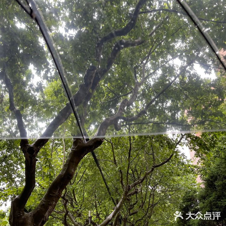 喂,睡醒了吗?睡醒了就来上海RAC吃brunch吃吧