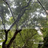 喂，睡醒了吗？睡醒了就来上海RAC吃brunch吃吧