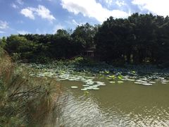 -海珠湖公园