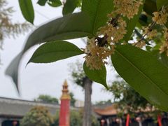-什邡罗汉寺