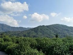 -塔川景区