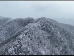 -秦岭风景区