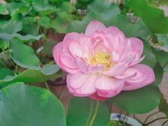-成都市文殊院