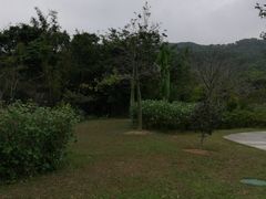 -大屏嶂森林公园