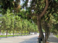 -东北大学(南湖校区)