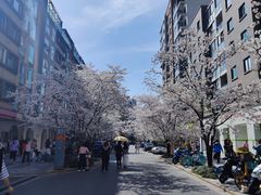 -Peet's Coffee皮爷咖啡(大学路店)