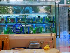 -富临港·蒸汽海鲜·手抓海鲜·炒菜(栈桥店)