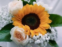 -南宁花花大世界景区