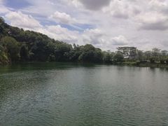 -王借岗森林公园