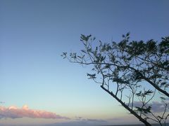 -碧海金沙