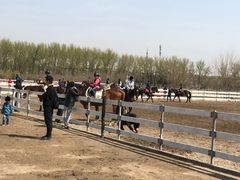 -月河湾马术俱乐部(朝阳店)