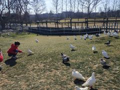 -南通洲际绿博园