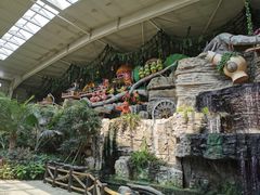 -南宫五洲植物乐园