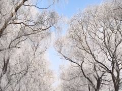 -北陵公园