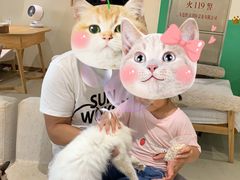 -藏猫猫咖啡主题馆(中央大道店)