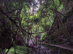 -夏霖九天银瀑风景区