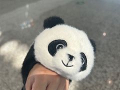 -熊猫邮局(少城店)