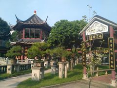 -碧江金楼