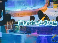 -沈阳海洋探索中心