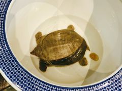 -渔乡米香·剁椒鱼头(四方坪店)