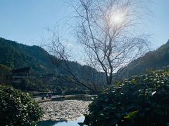 -桃花岭景区