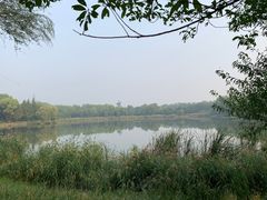 -北坞公园
