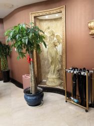 -西安伊美尔医疗美容医院