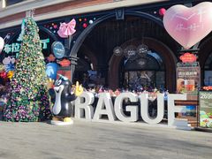 -布拉格餐厅· 中欧捷克菜(全国首店)