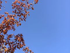 -太和山风景区